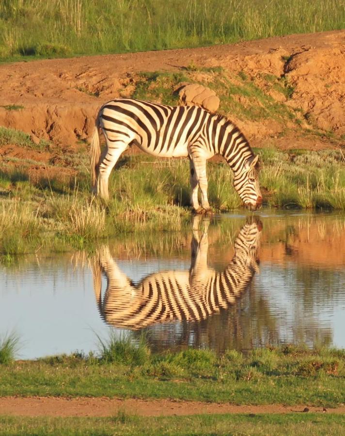 Letsatsi Game Lodge Smithfield Екстер'єр фото