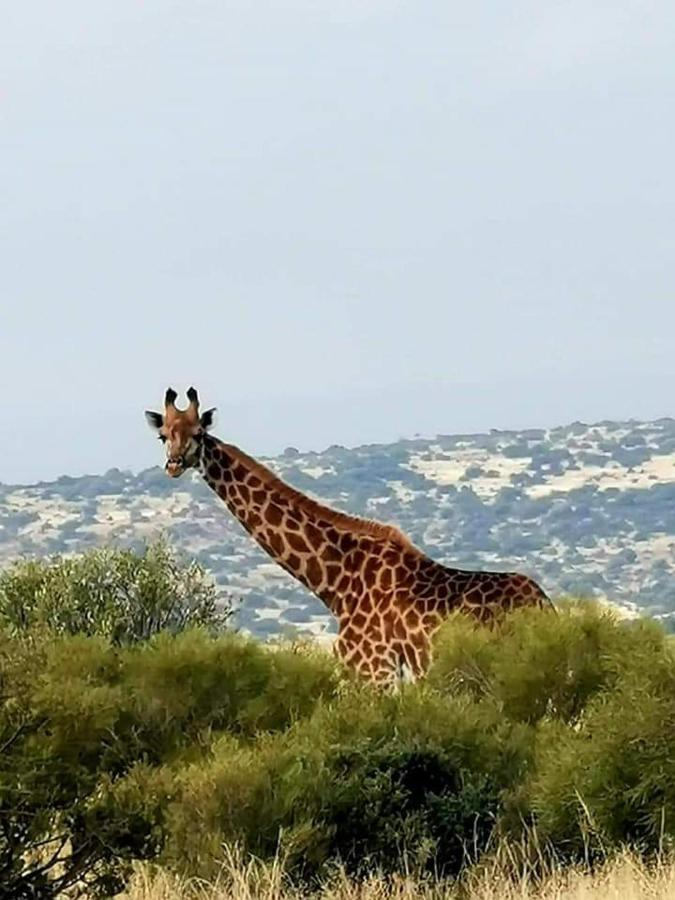 Letsatsi Game Lodge Smithfield Екстер'єр фото