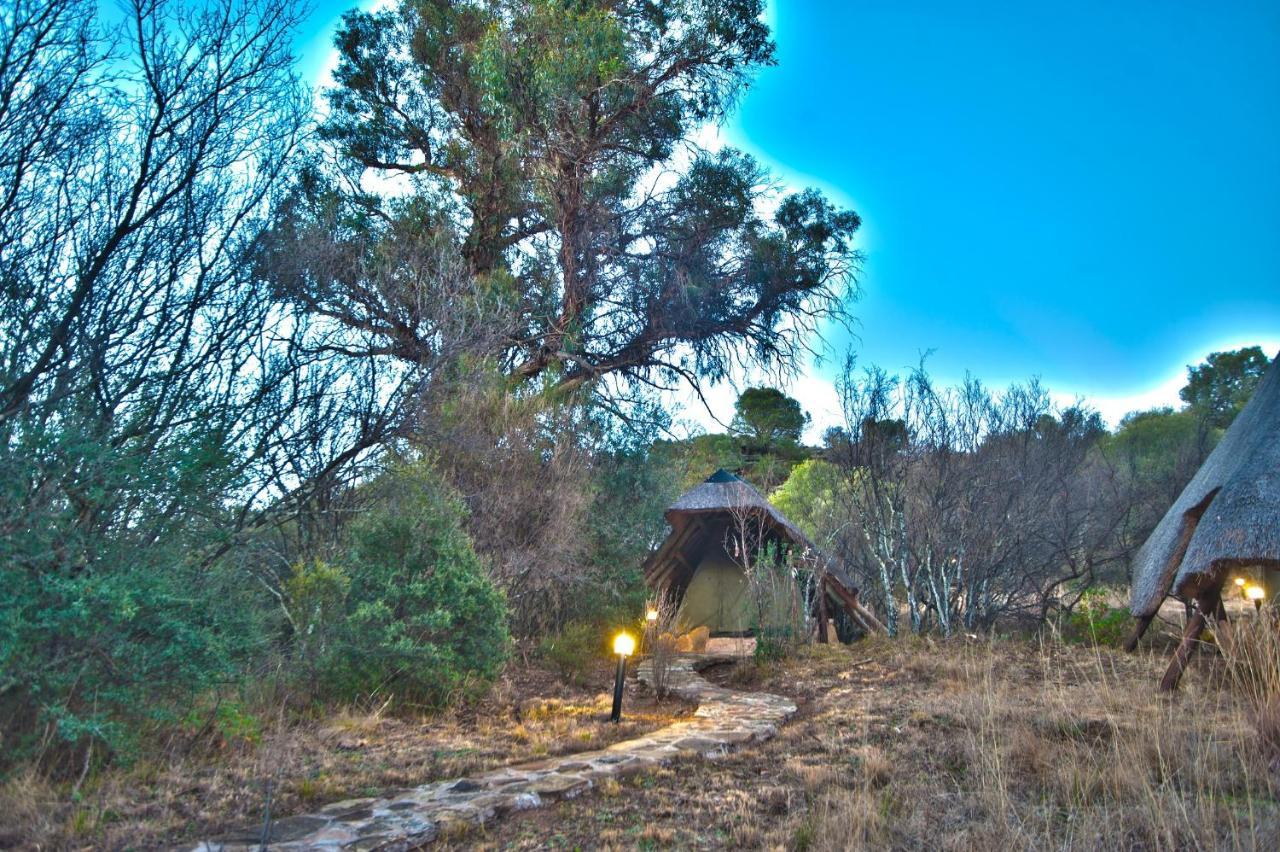 Letsatsi Game Lodge Smithfield Екстер'єр фото
