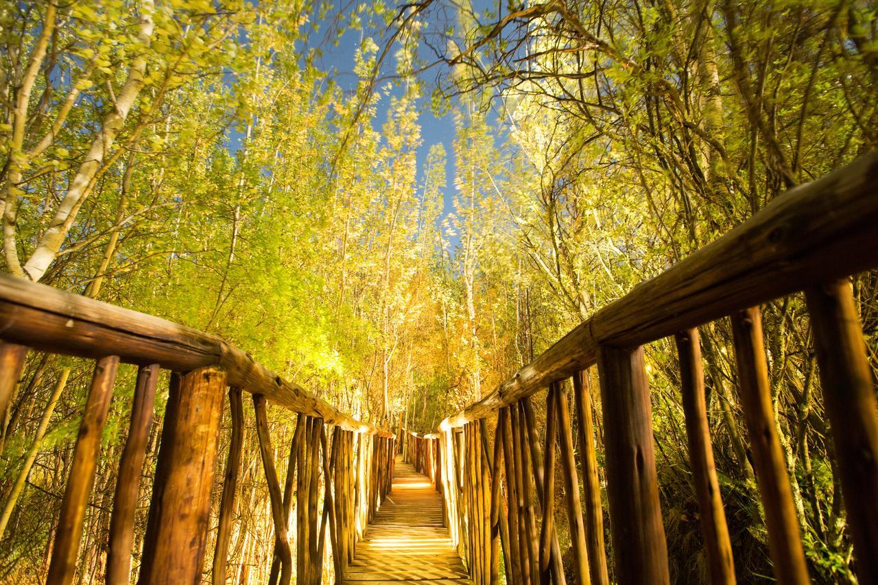 Letsatsi Game Lodge Smithfield Екстер'єр фото