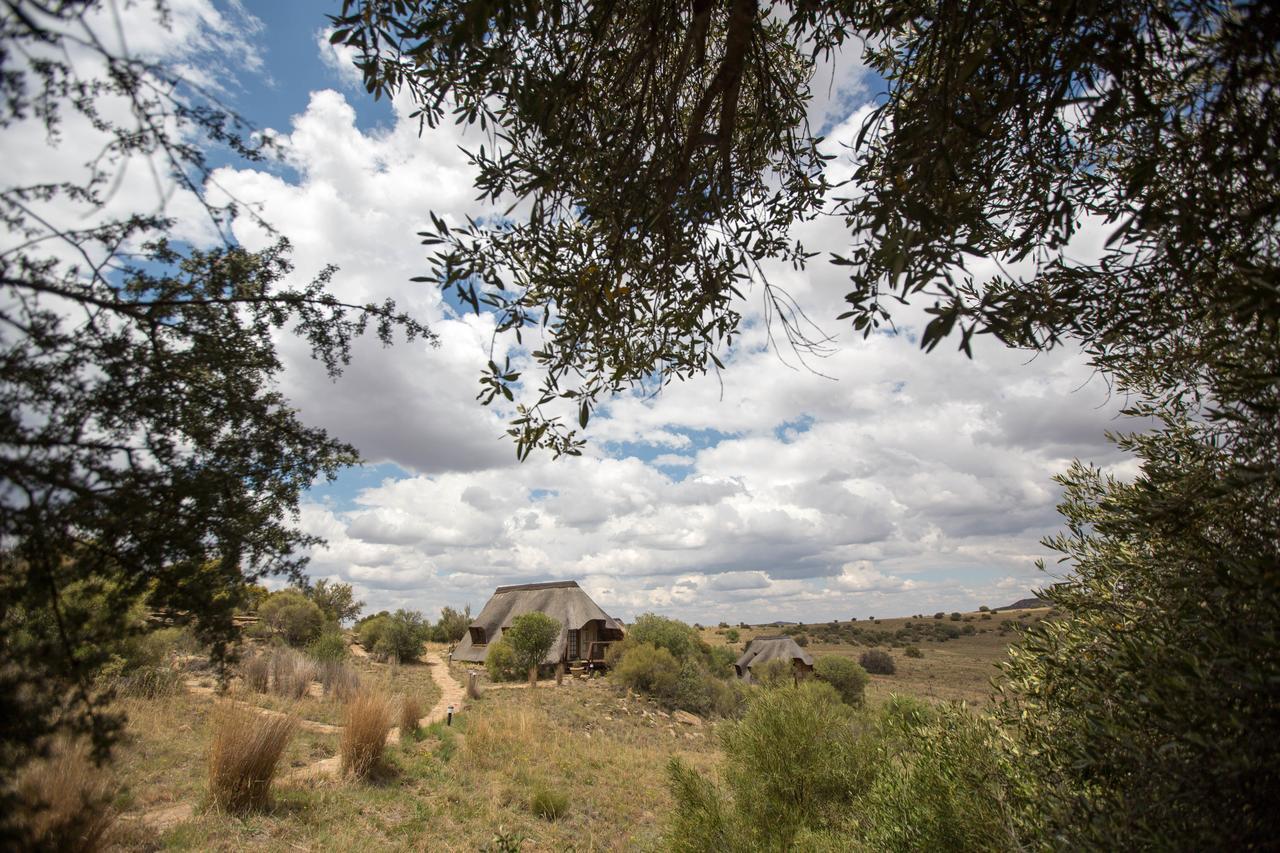 Letsatsi Game Lodge Smithfield Екстер'єр фото